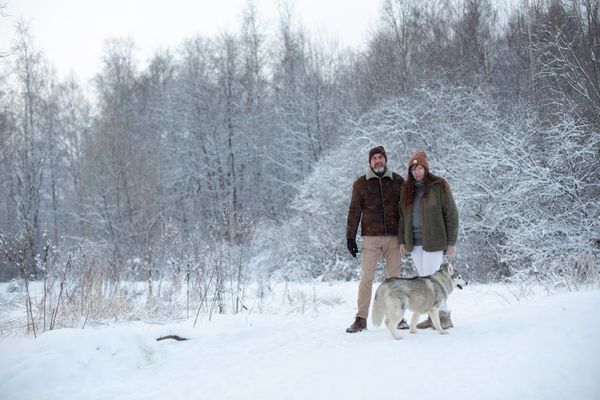 המומחה לנפש הכלב: מה אוהבים כלבים שאנו עושים להם